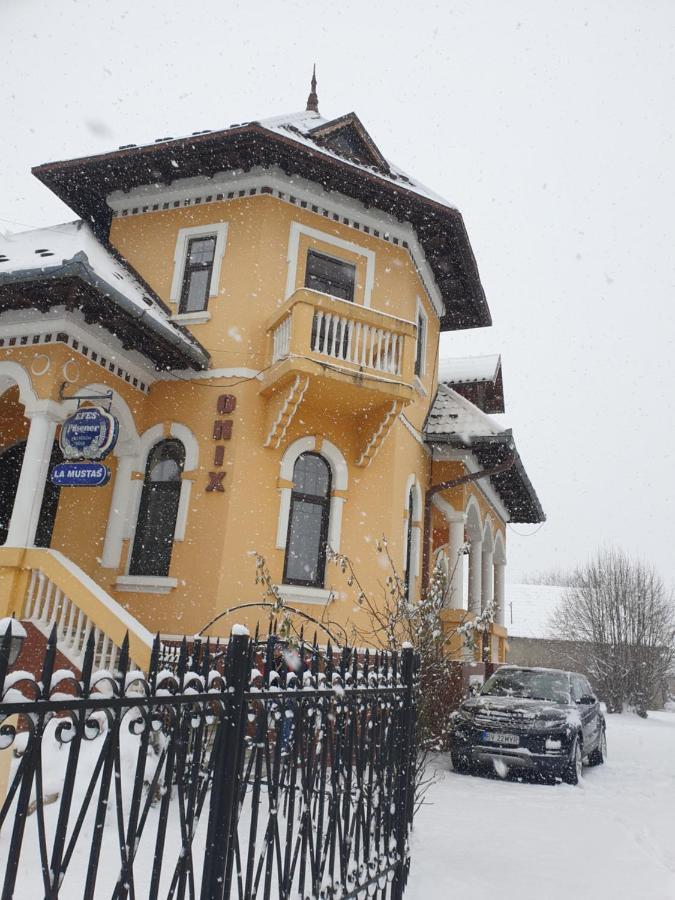 Pensiunea Onix Făgăraş Екстериор снимка