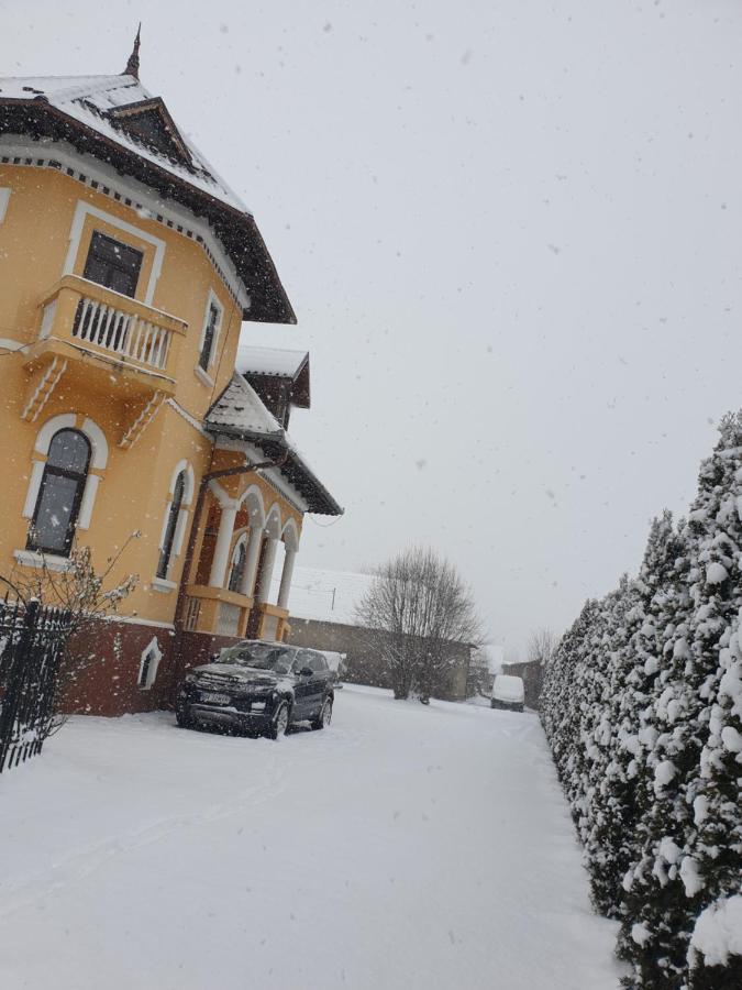 Pensiunea Onix Făgăraş Екстериор снимка