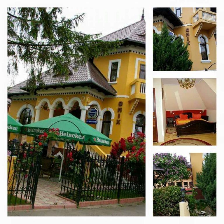 Pensiunea Onix Făgăraş Екстериор снимка