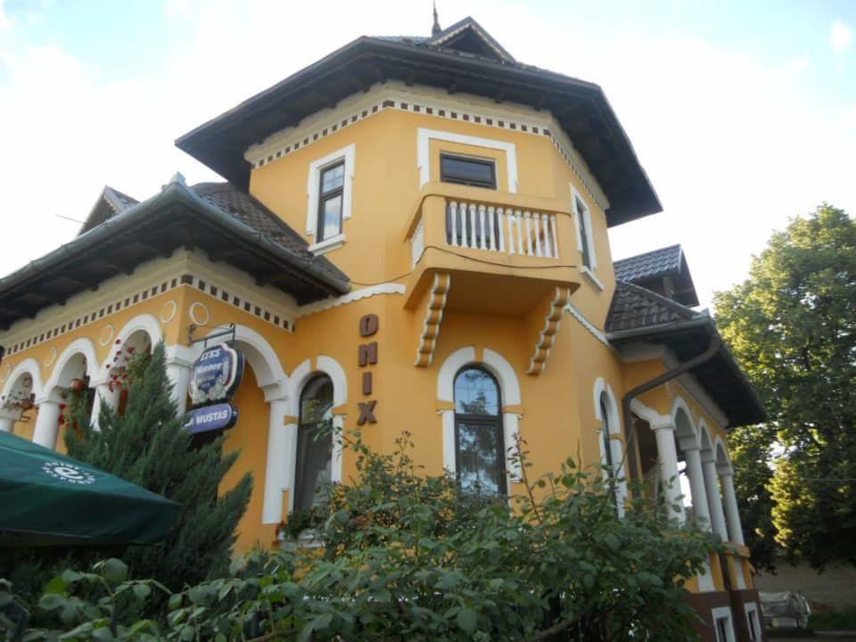 Pensiunea Onix Făgăraş Екстериор снимка