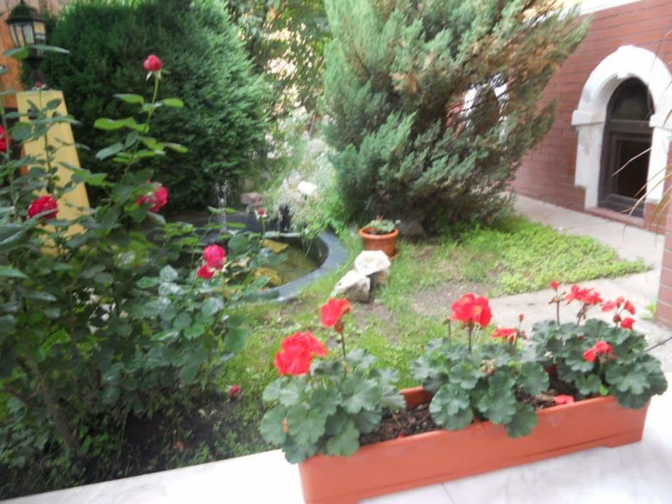 Pensiunea Onix Făgăraş Екстериор снимка