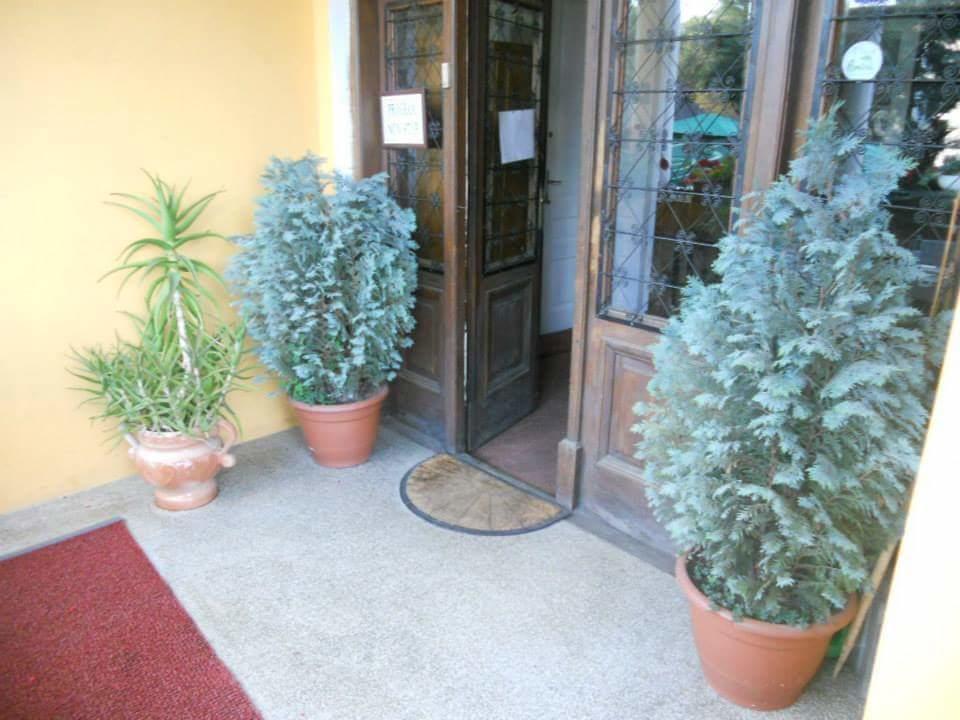 Pensiunea Onix Făgăraş Екстериор снимка