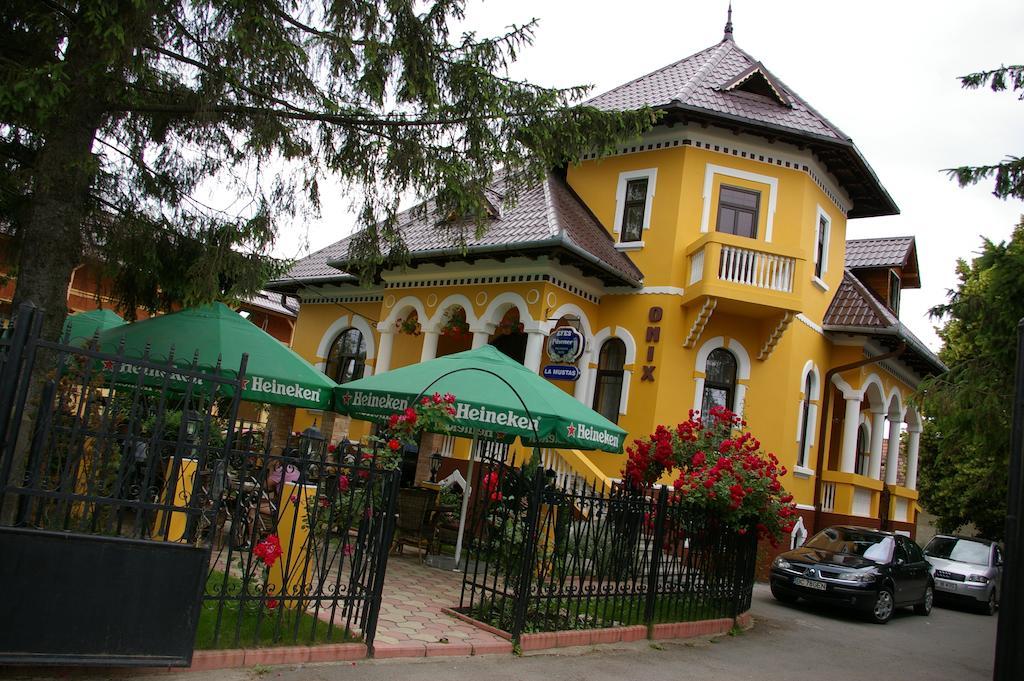Pensiunea Onix Făgăraş Екстериор снимка