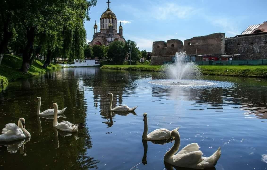 Pensiunea Onix Făgăraş Екстериор снимка