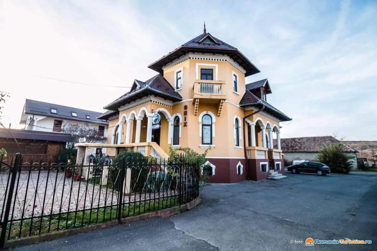Pensiunea Onix Făgăraş Екстериор снимка