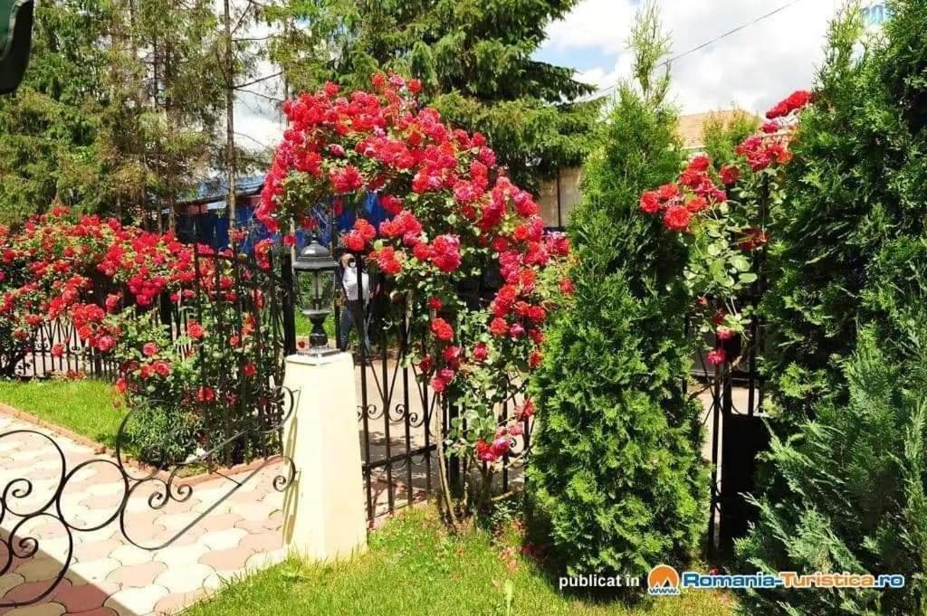 Pensiunea Onix Făgăraş Екстериор снимка