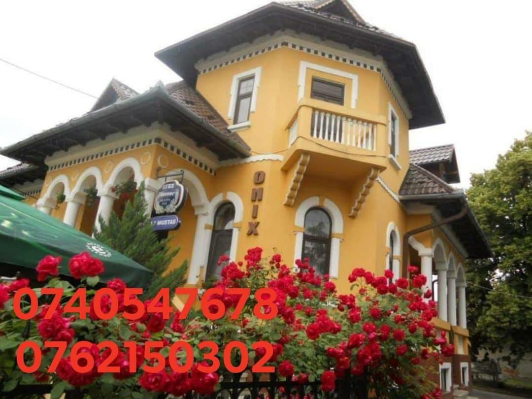 Pensiunea Onix Făgăraş Екстериор снимка
